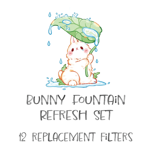 Cloud Spring™ Bunny Fountain Refresh Set 12 PC